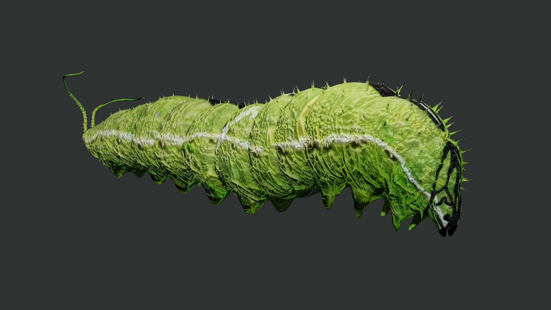 3D jungle rigged https://p.turbosquid.com/ts-thumb/aY/G2ZF8l/uhE47uI9/caterpillar3/jpg/1606572886/1920x1080/fit_q87/cd576dfaac956f0ecbdd362018d5ce5dd3d3da8f/caterpillar3.jpg