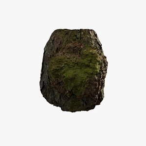 Anydrafts Betula albosinensis Burl 02 model