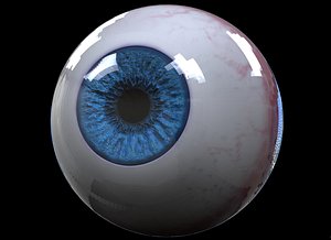 realistic eyeball hd model