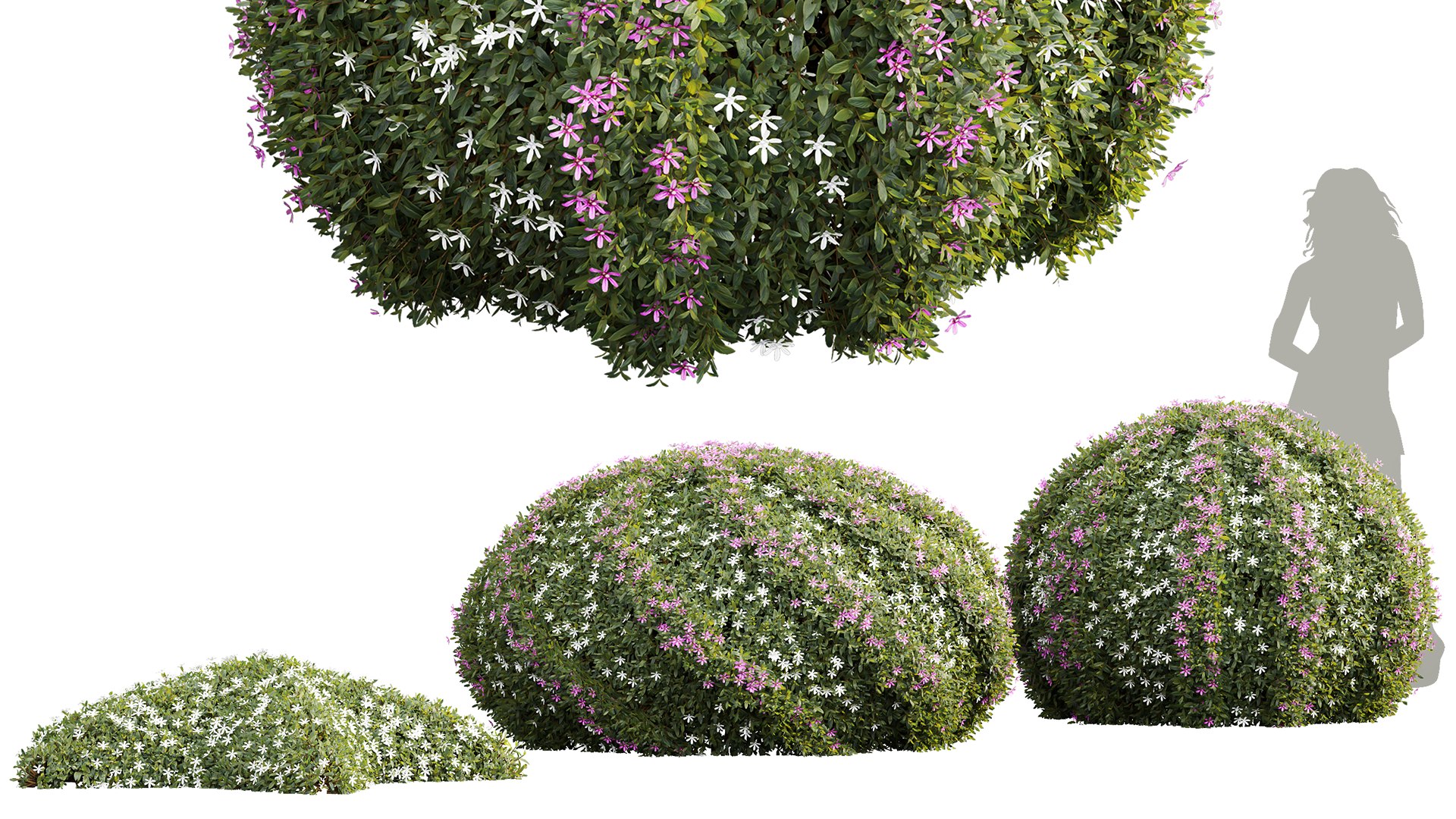 3D 6Different SETS Of Bush Set Vol 27 - TurboSquid 2205050