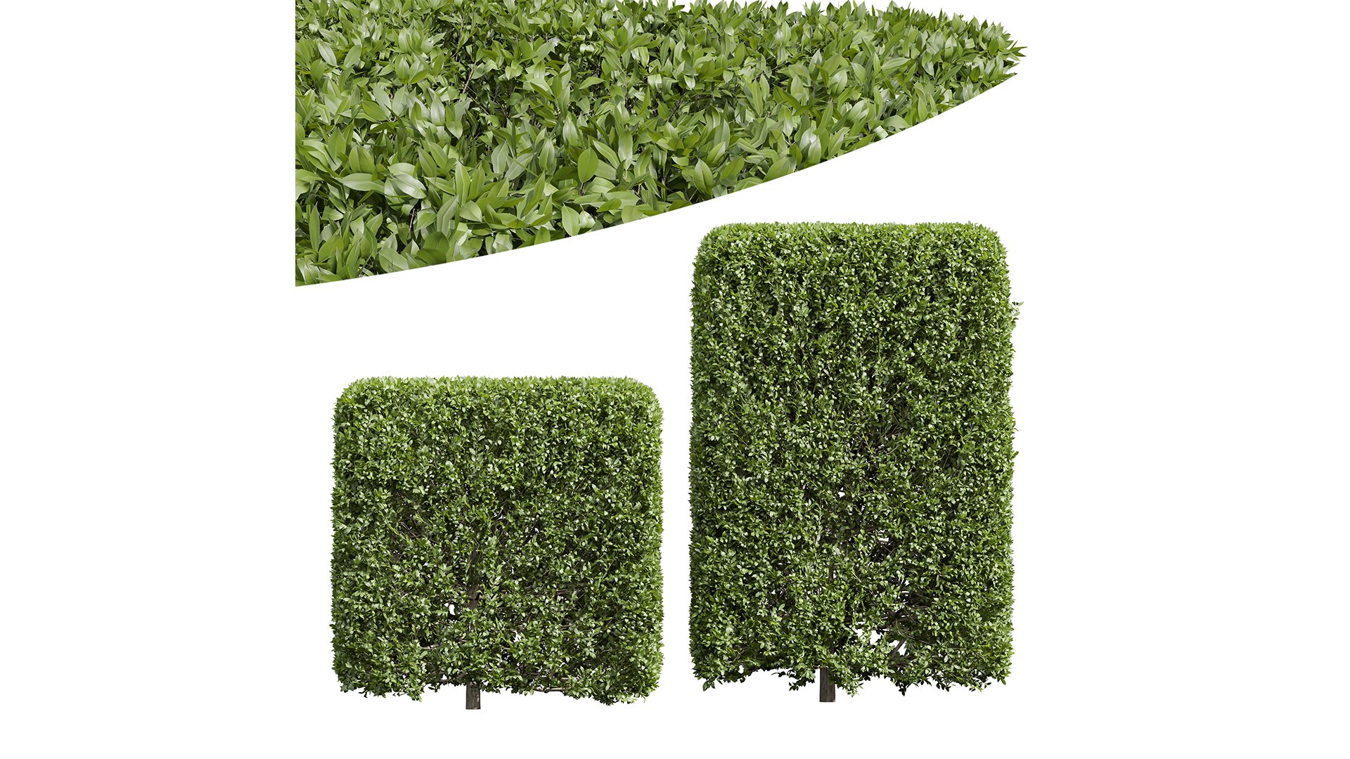 3D 6Different SETS Of Bush Set Vol 27 - TurboSquid 2205050