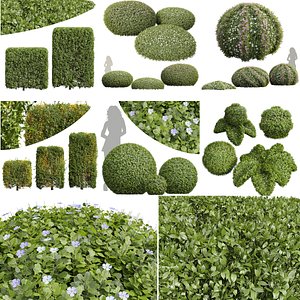 3D 6Different SETS of Bush Set Vol 27