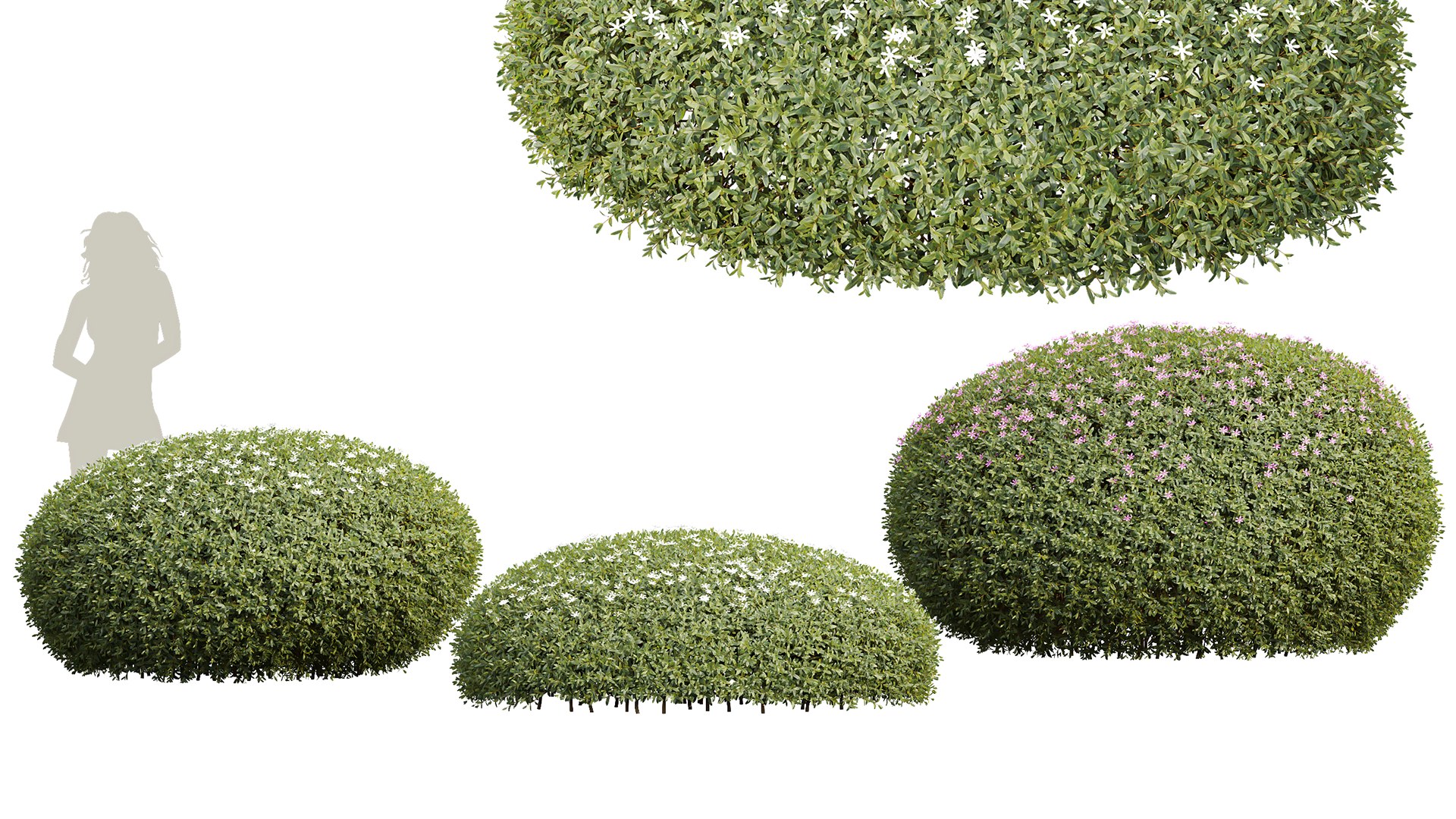3D 6Different SETS Of Bush Set Vol 27 - TurboSquid 2205050