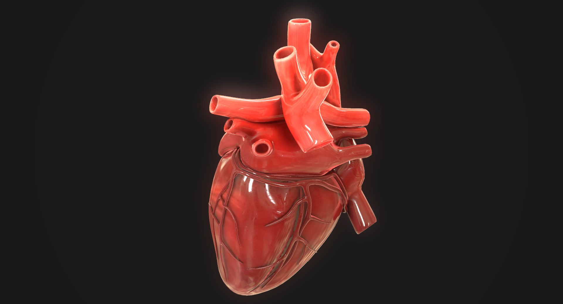 3D Human Heart - TurboSquid 1423011