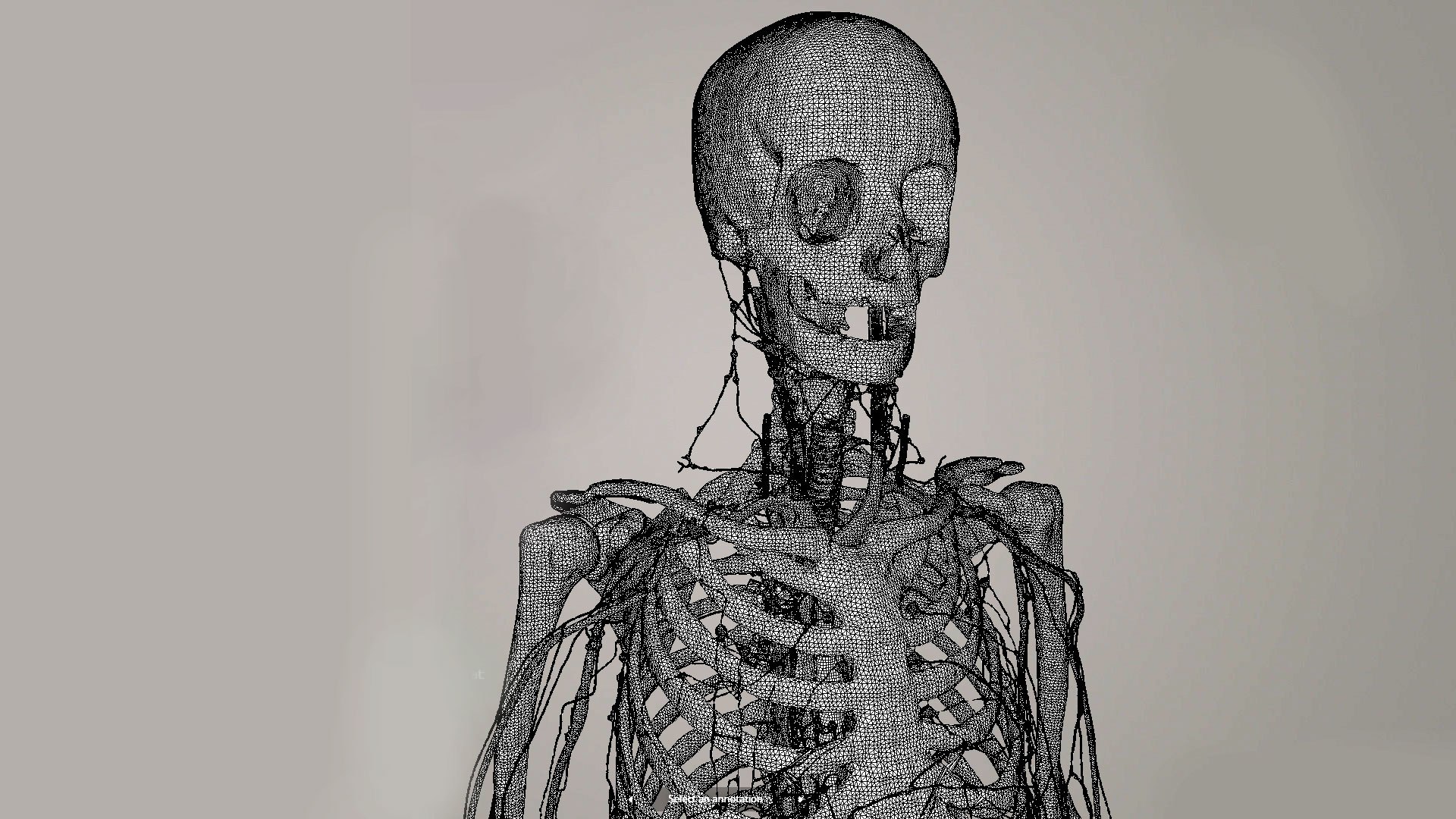 human lymphatic veins model https://p.turbosquid.com/ts-thumb/aZ/AWdVG5/td/wire/jpg/1607005827/1920x1080/fit_q87/af1778ce7e5ed8c4163655e04d13bbcd387176b4/wire.jpg