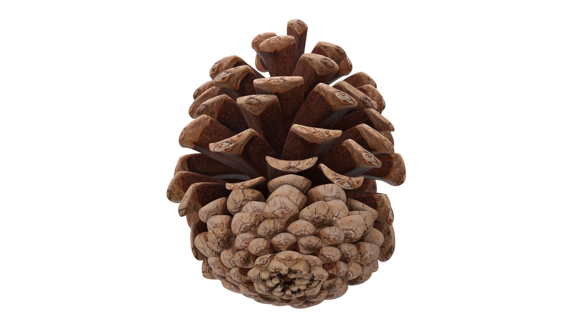 3D Christmas Decor Collection 5 model https://p.turbosquid.com/ts-thumb/aZ/PXH17G/gn/christmasdecorcollection5mb3dmodel012/jpg/1672390936/1920x1080/fit_q87/14787d357781176c4e1af4a79821ad42d8db3598/christmasdecorcollection5mb3dmodel012.jpg