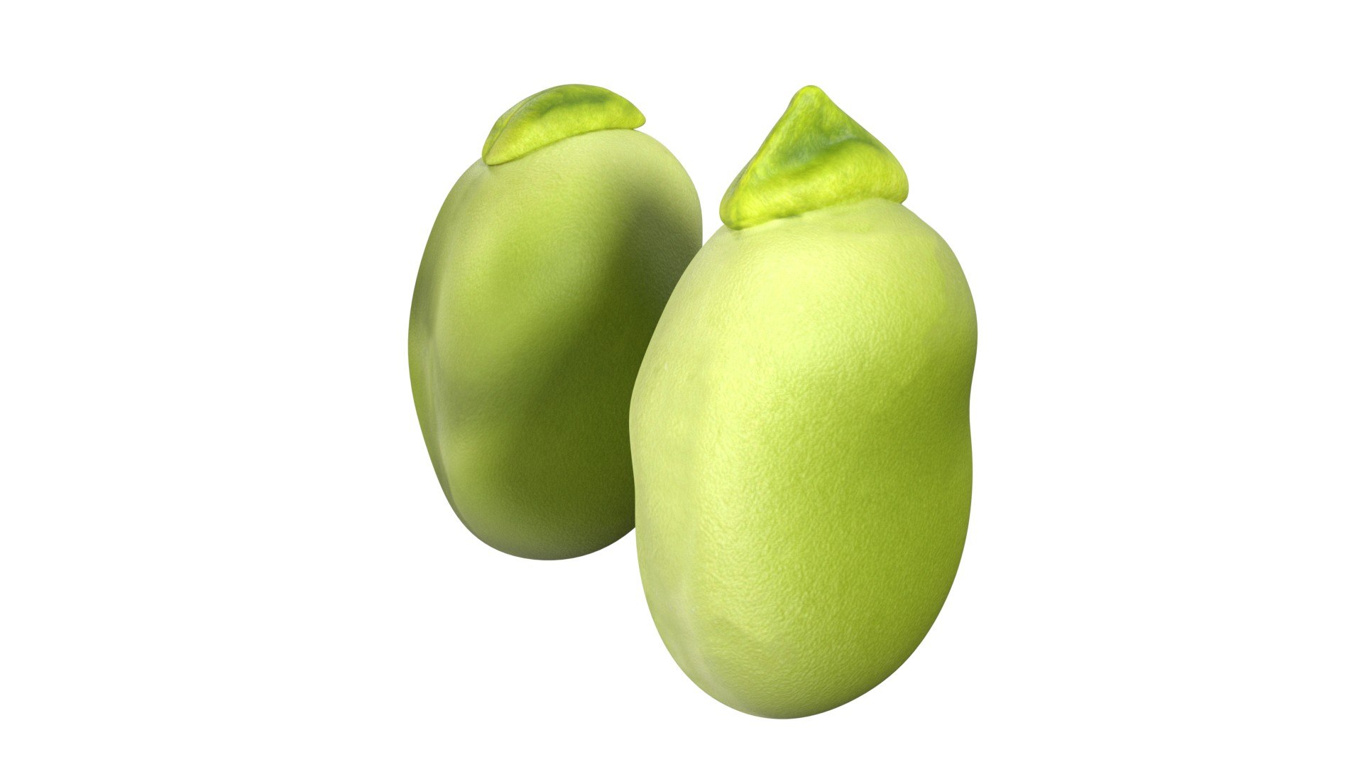 Broad bean 3D https://p.turbosquid.com/ts-thumb/aZ/RyOU5c/HK/3/jpg/1747140989/1920x1080/fit_q87/f876f047730997af8fe09645aeb14644809522ca/3.jpg