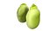 Broad bean