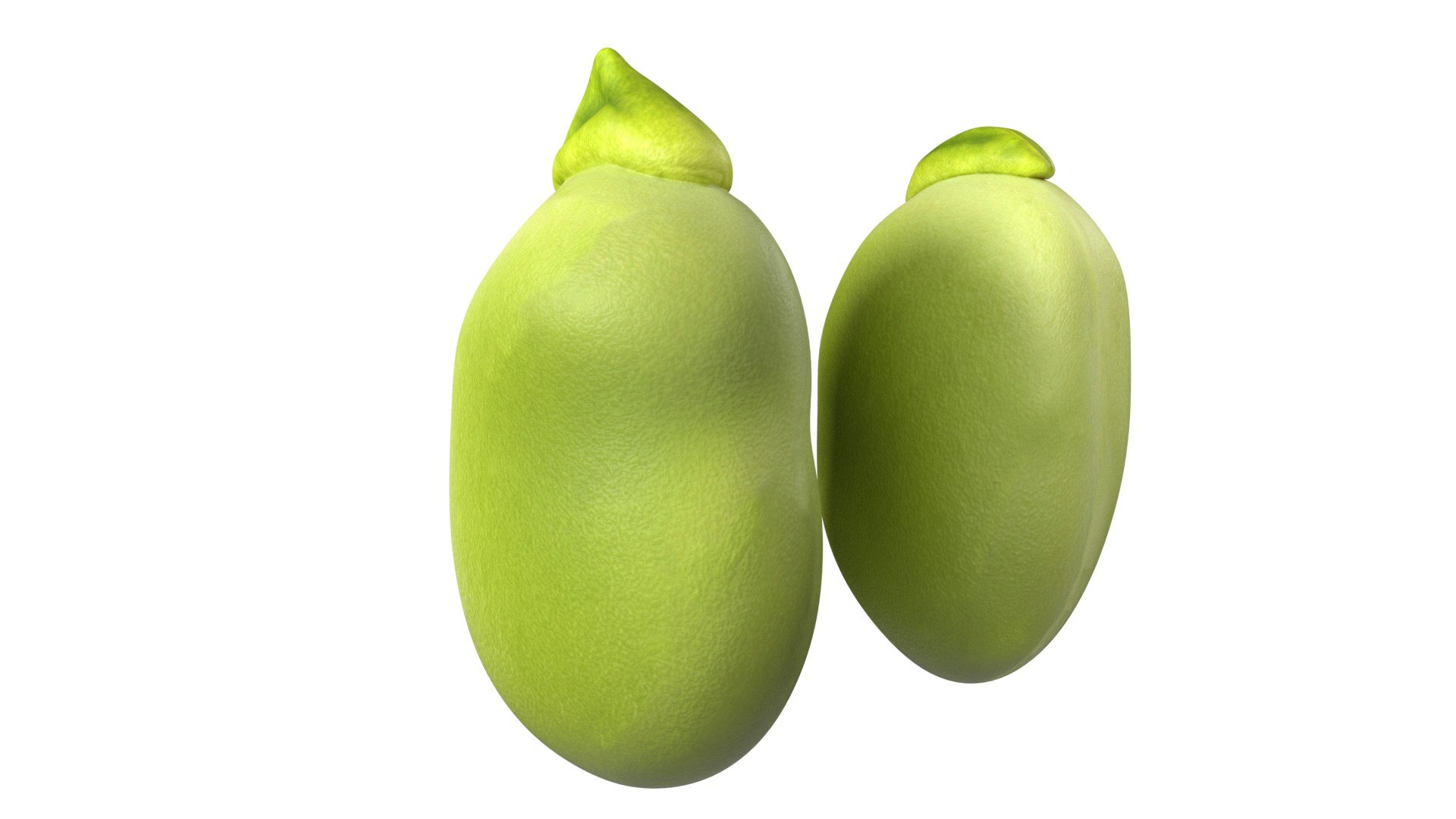 Broad bean 3D https://p.turbosquid.com/ts-thumb/aZ/RyOU5c/Lw/2/jpg/1747140989/1920x1080/fit_q87/7279fbdd5b2fe1fd7bcd87f9475e696396c4185a/2.jpg