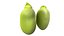 Broad bean