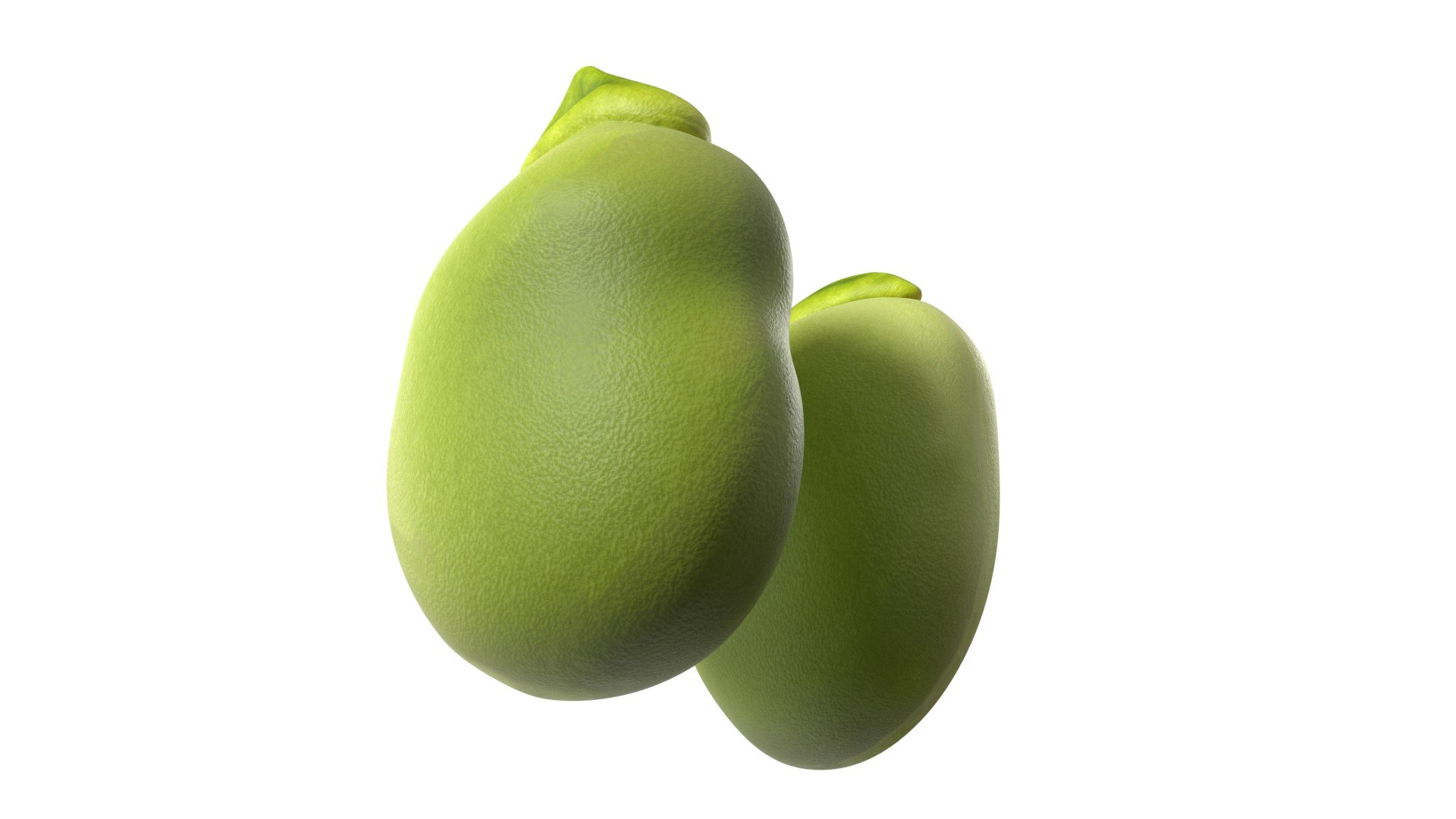 Broad bean 3D https://p.turbosquid.com/ts-thumb/aZ/RyOU5c/WD/5/jpg/1747140990/1920x1080/fit_q87/f1a7059f9f89b7e82dc7a8ce744c4cbda04d6679/5.jpg