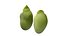 Broad bean