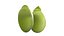 Broad bean