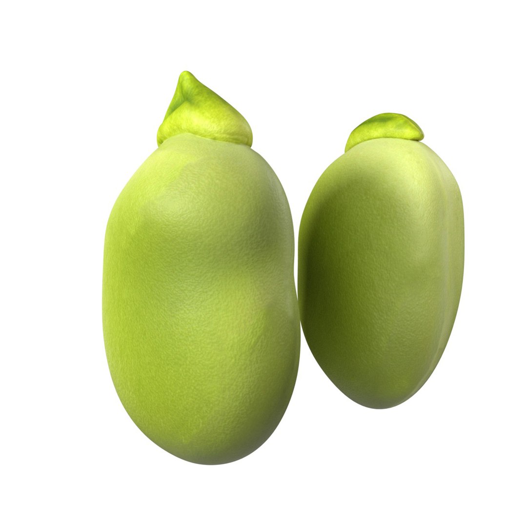 Broad bean 3D https://p.turbosquid.com/ts-thumb/aZ/RyOU5c/z8/squid/jpg/1747140992/1920x1080/fit_q87/93a676acb86ec8715a8bf2b1dd51b6bed5a2aceb/squid.jpg