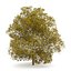CGAxis Models Volume 28 Trees III C4D