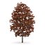 CGAxis Models Volume 28 Trees III C4D