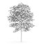 CGAxis Models Volume 28 Trees III C4D