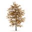CGAxis Models Volume 28 Trees III C4D