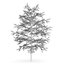 CGAxis Models Volume 28 Trees III C4D