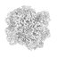 CGAxis Models Volume 28 Trees III C4D