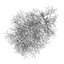 CGAxis Models Volume 28 Trees III C4D