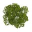 CGAxis Models Volume 28 Trees III C4D