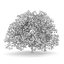 CGAxis Models Volume 28 Trees III C4D