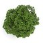 CGAxis Models Volume 28 Trees III C4D