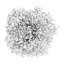 CGAxis Models Volume 28 Trees III C4D