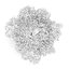 CGAxis Models Volume 28 Trees III C4D