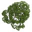 CGAxis Models Volume 28 Trees III C4D