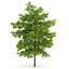 CGAxis Models Volume 28 Trees III C4D