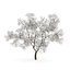 CGAxis Models Volume 28 Trees III C4D