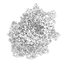 CGAxis Models Volume 28 Trees III C4D