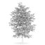 CGAxis Models Volume 28 Trees III C4D