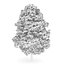 CGAxis Models Volume 28 Trees III C4D