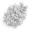 CGAxis Models Volume 28 Trees III C4D