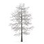 CGAxis Models Volume 28 Trees III C4D