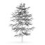 CGAxis Models Volume 28 Trees III C4D