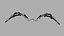 Demon wings - Low poly