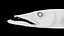 poisson barracuda