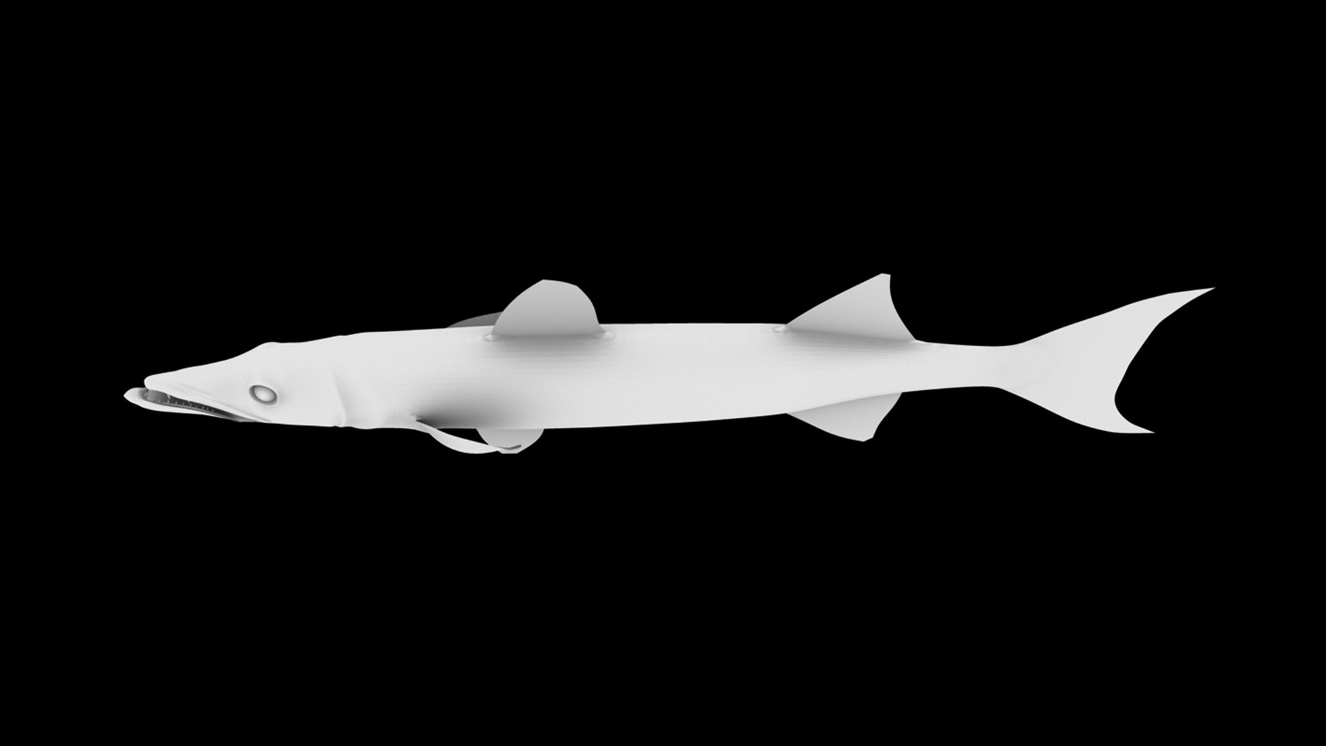 barracuda fish 3D model https://p.turbosquid.com/ts-thumb/aZ/o3puqU/jS/f7/jpg/1777566241/1920x1080/fit_q87/bc4fff0029364cd73c03fcbead57f039fda3f7e0/f7.jpg