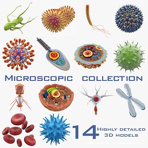 microscopic 3d model