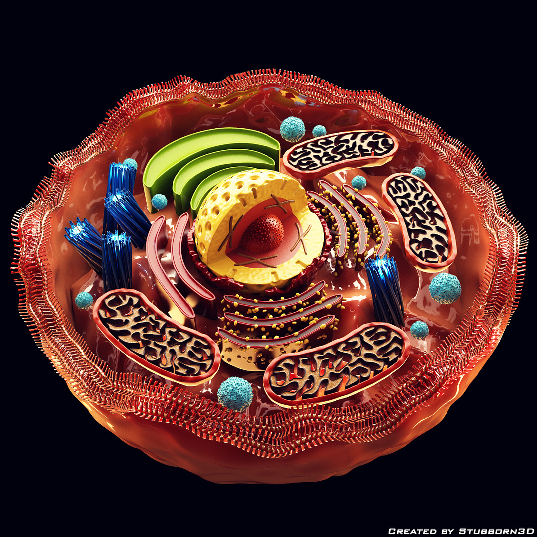 microscopic 3d model