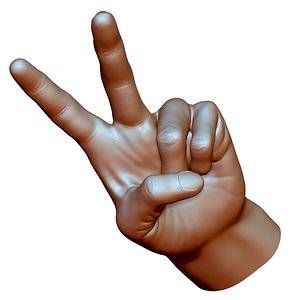 Victory sign hand male