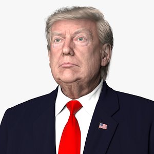 Trump Bust