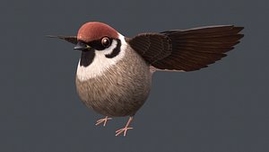 3D sparrow bird nature model