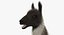 Llama