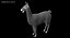 Llama