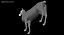 Llama